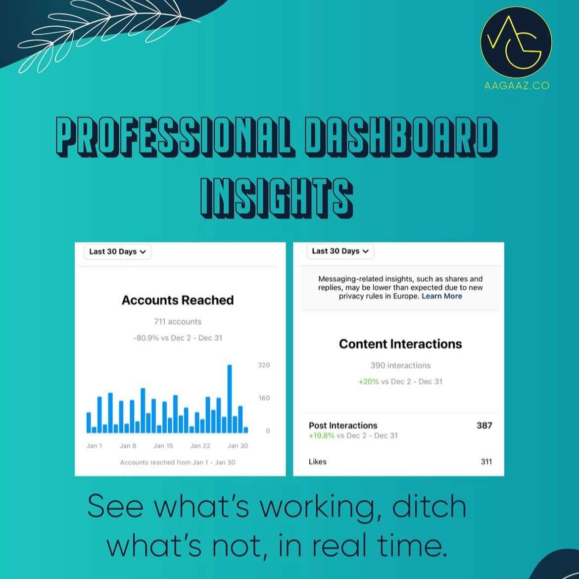 WhatsApp Image 2025-09-02 at 12.35.37 AM (1)