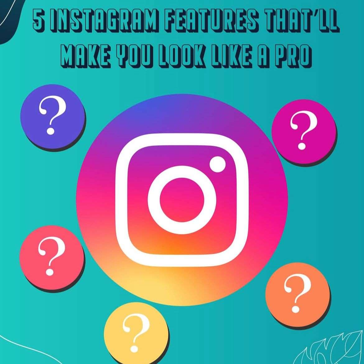 WhatsApp Image 2025-09-02 at 12.35.38 AM (2)